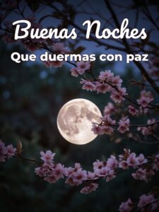 Mensajes bonitos para dar las buenas noches para Facebook
