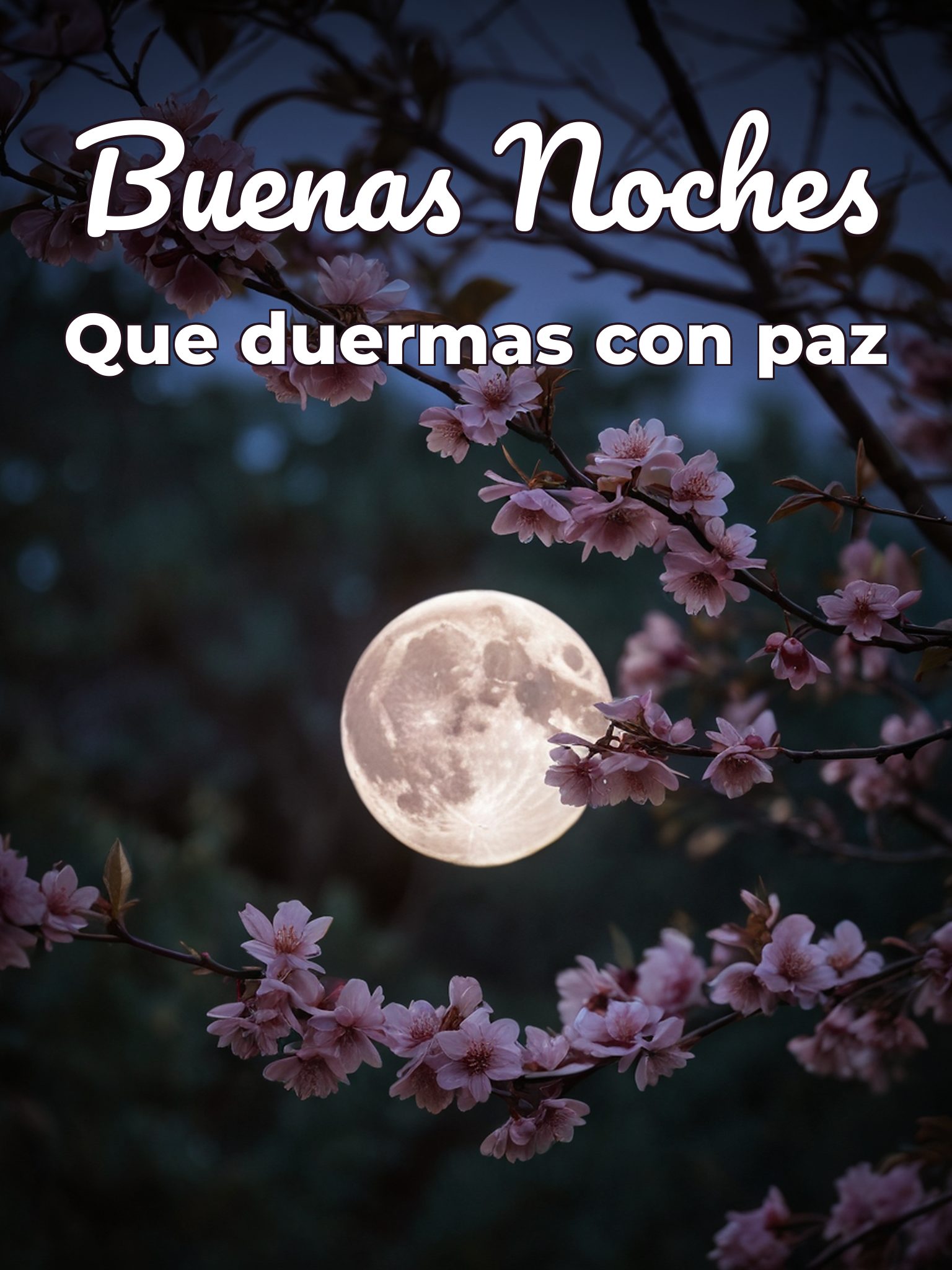 Mensajes bonitos para dar las buenas noches para Facebook