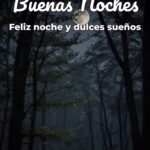 buenas noches feliz noche y dulces sueños