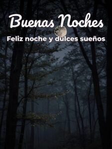 Mensajes bonitos para desear buenas noches para celular