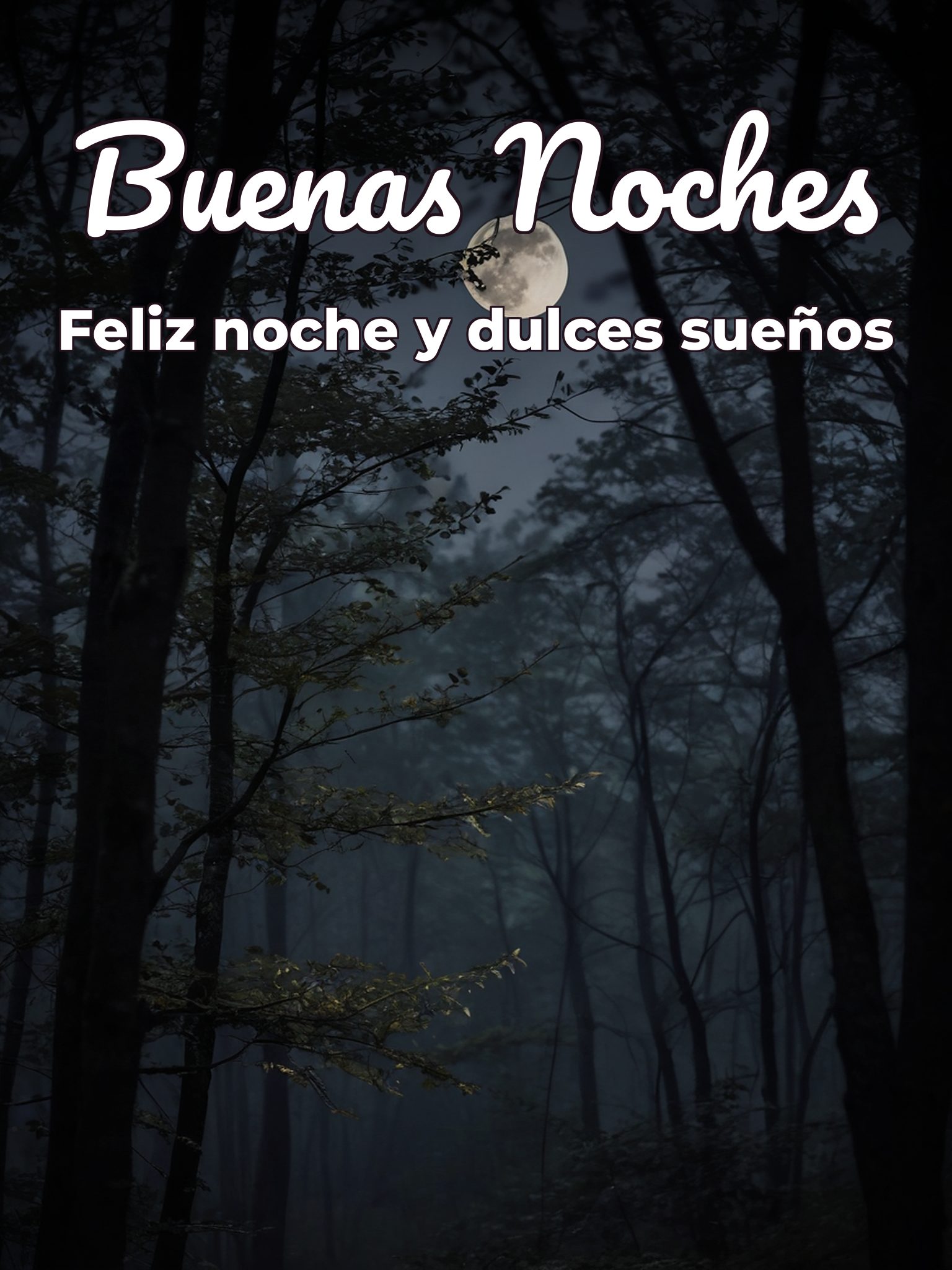 Mensajes bonitos para desear buenas noches para celular