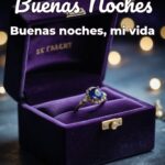 buenas noches buenas noches, mi vida