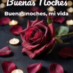 buenas noches buenas noches, mi vida