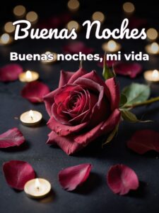 Mensajes bonitos para mi novia de buenas noches para celular
