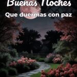 buenas noches que duermas con paz
