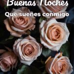 buenas noches que sueñes conmigo