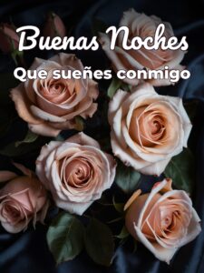 Mensajes buenas noches amor para descargar gratis