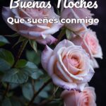 buenas noches que sueñes conmigo