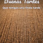buenas tardes que tengas una linda tarde