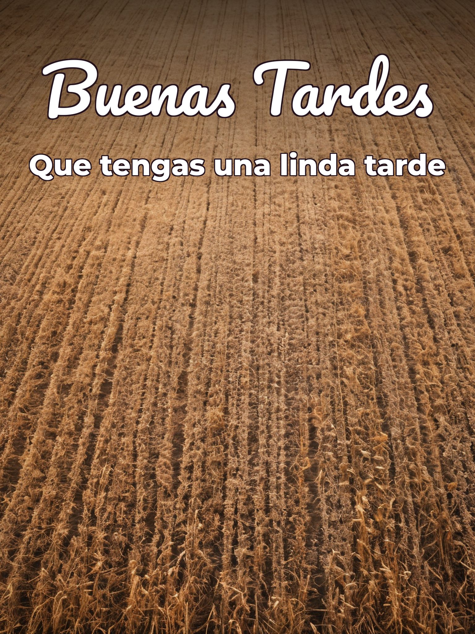 Mensajes buenas tardes para WhatsApp celular