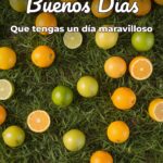 buenos días que tengas un día maravilloso