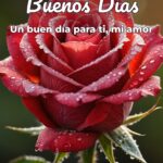 buenos días un buen día para ti, mi amor