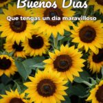 buenos días que tengas un día maravilloso