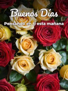 Mensajes buenos días para mi novia para WhatsApp