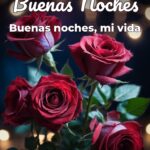 buenas noches buenas noches, mi vida