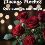 buenas noches que sueñes conmigo
