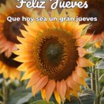 feliz jueves que hoy sea un gran jueves