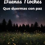 buenas noches que duermas con paz