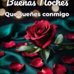 buenas noches que sueñes conmigo
