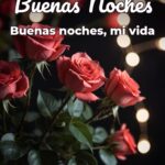 buenas noches buenas noches, mi vida