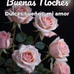 buenas noches dulces sueños, mi amor