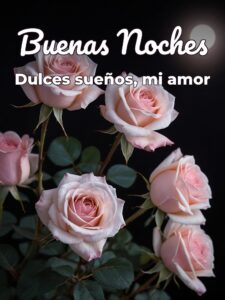 Mensajes d buenas noches para mi amor para WhatsApp