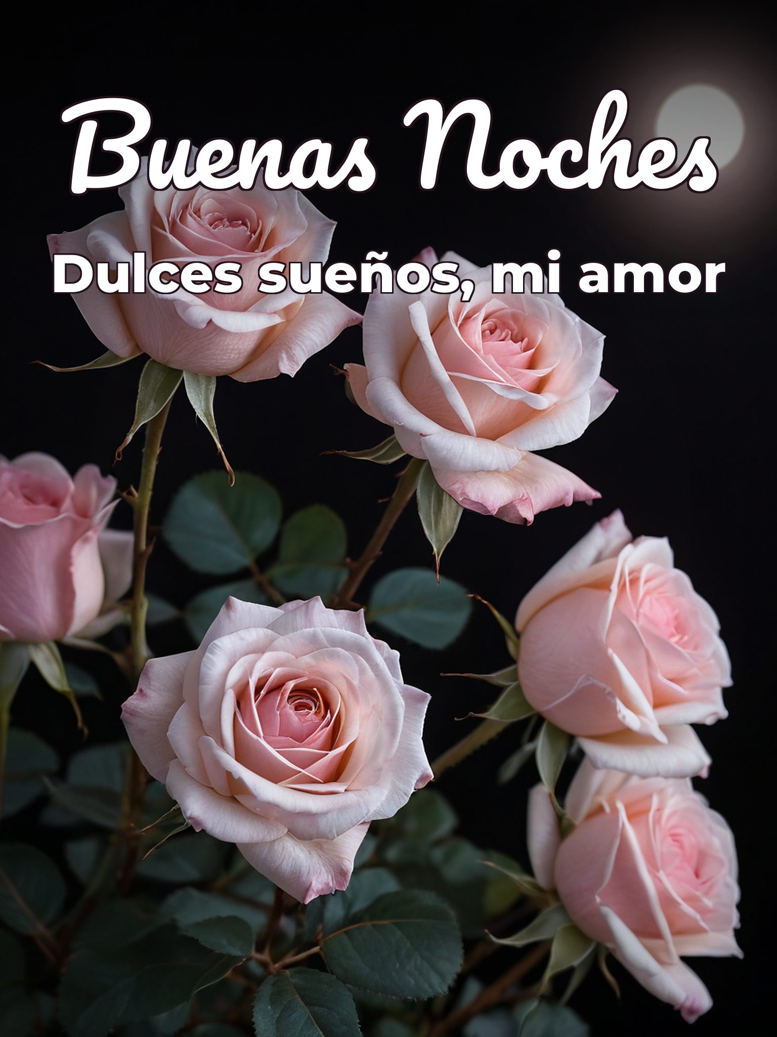 Mensajes d buenas noches para mi amor para WhatsApp