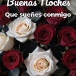 buenas noches que sueñes conmigo