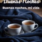 buenas noches buenas noches, mi vida