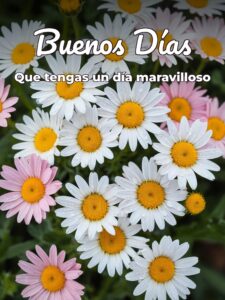 Mensajes d buenos días bonitos para Facebook
