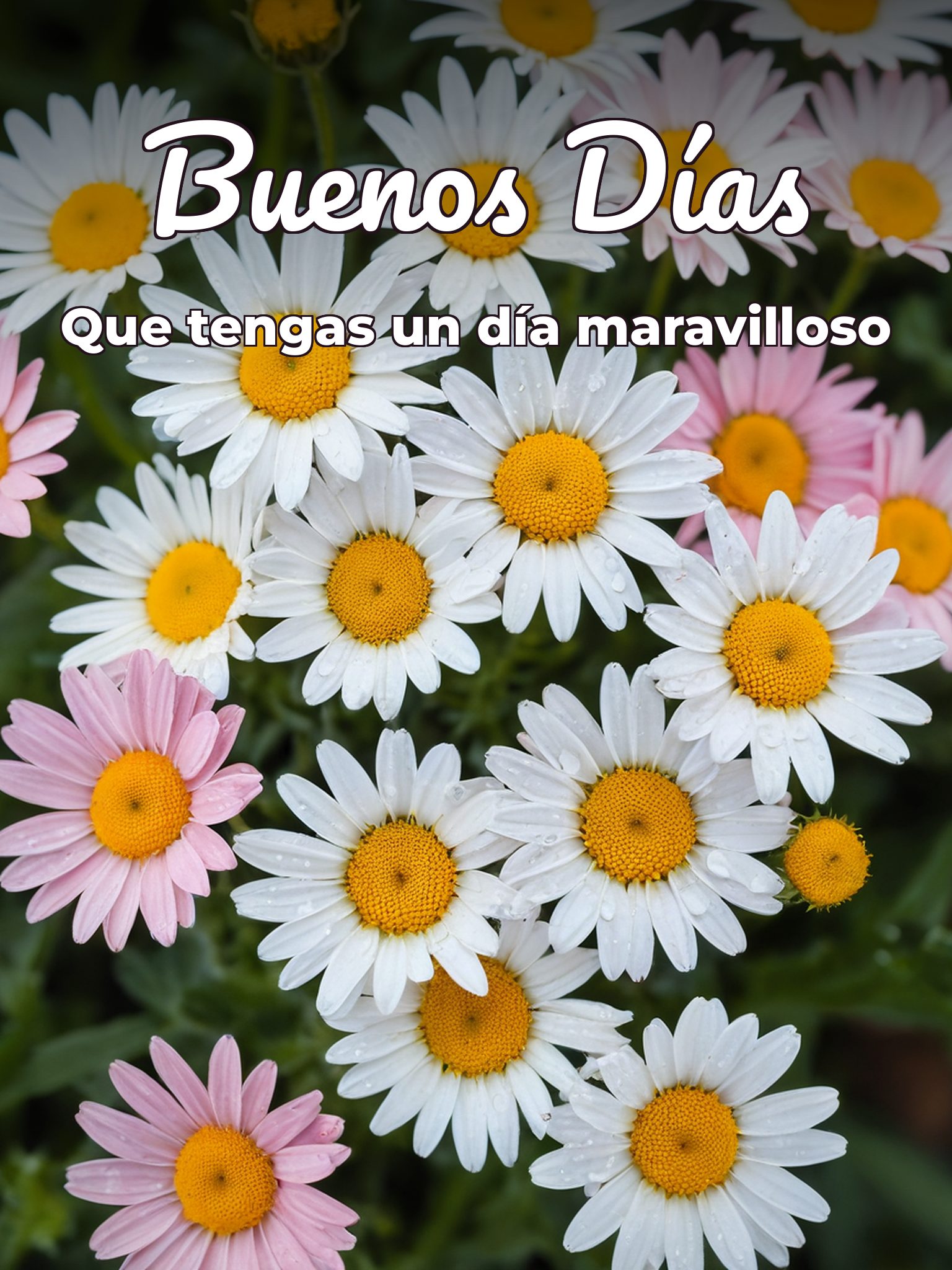 Mensajes d buenos días bonitos para Facebook