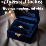 buenas noches buenas noches, mi vida