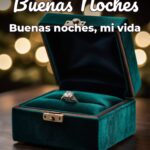 buenas noches buenas noches, mi vida
