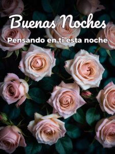 Mensajes de amor para las buenas noches para Facebook