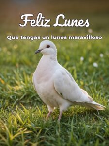 Mensajes de bendecido lunes amiga para WhatsApp gratis para celular
