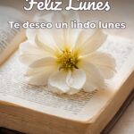 feliz lunes te deseo un lindo lunes