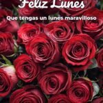 feliz lunes que tengas un lunes maravilloso