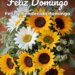 feliz domingo feliz y bendecido domingo