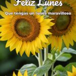 feliz lunes que tengas un lunes maravilloso