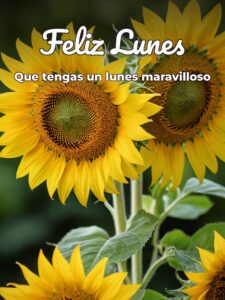 Mensajes de buen lunes buena semana