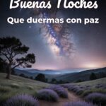 buenas noches que duermas con paz