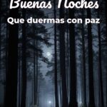 buenas noches que duermas con paz