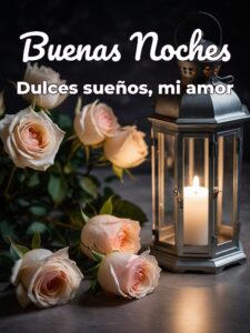 Mensajes de buenas noches mi amor para WhatsApp