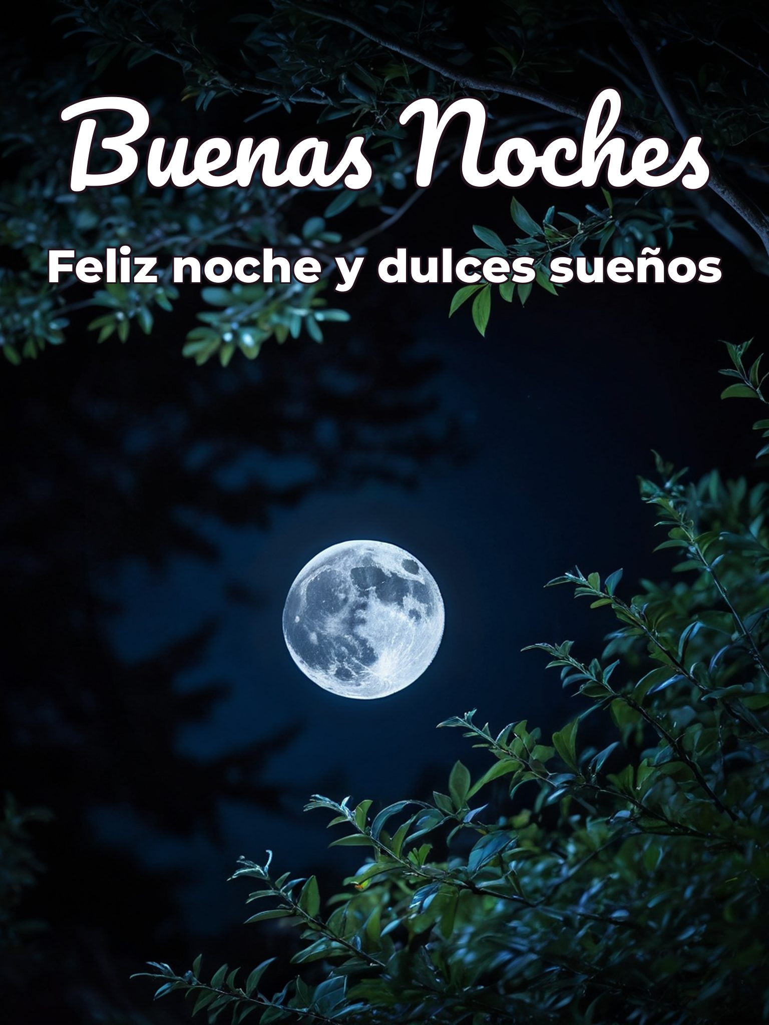 Mensajes de buenas noches para conquistar para celular