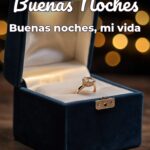 buenas noches buenas noches, mi vida