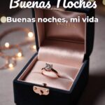 buenas noches buenas noches, mi vida