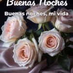buenas noches buenas noches, mi vida