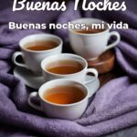 buenas noches buenas noches, mi vida