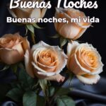 buenas noches buenas noches, mi vida
