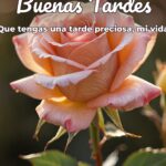 buenas tardes que tengas una tarde preciosa, mi vida
